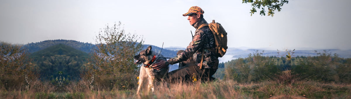 hunting dog collars