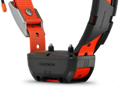 hunting dog training collar garmin alpha300 tt25 collar